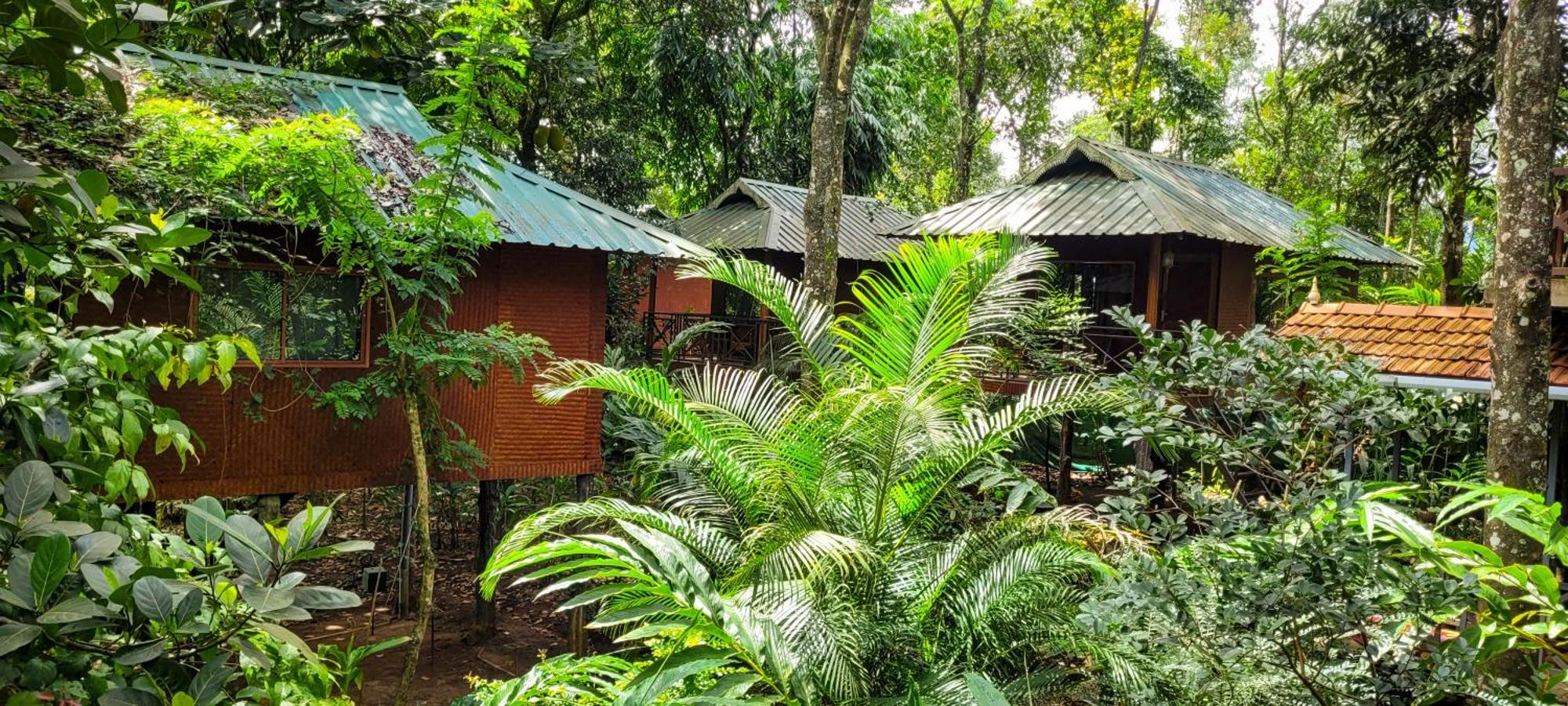 Monsoon Retreats Ecostay- Treehouse Thekkady Esterno foto