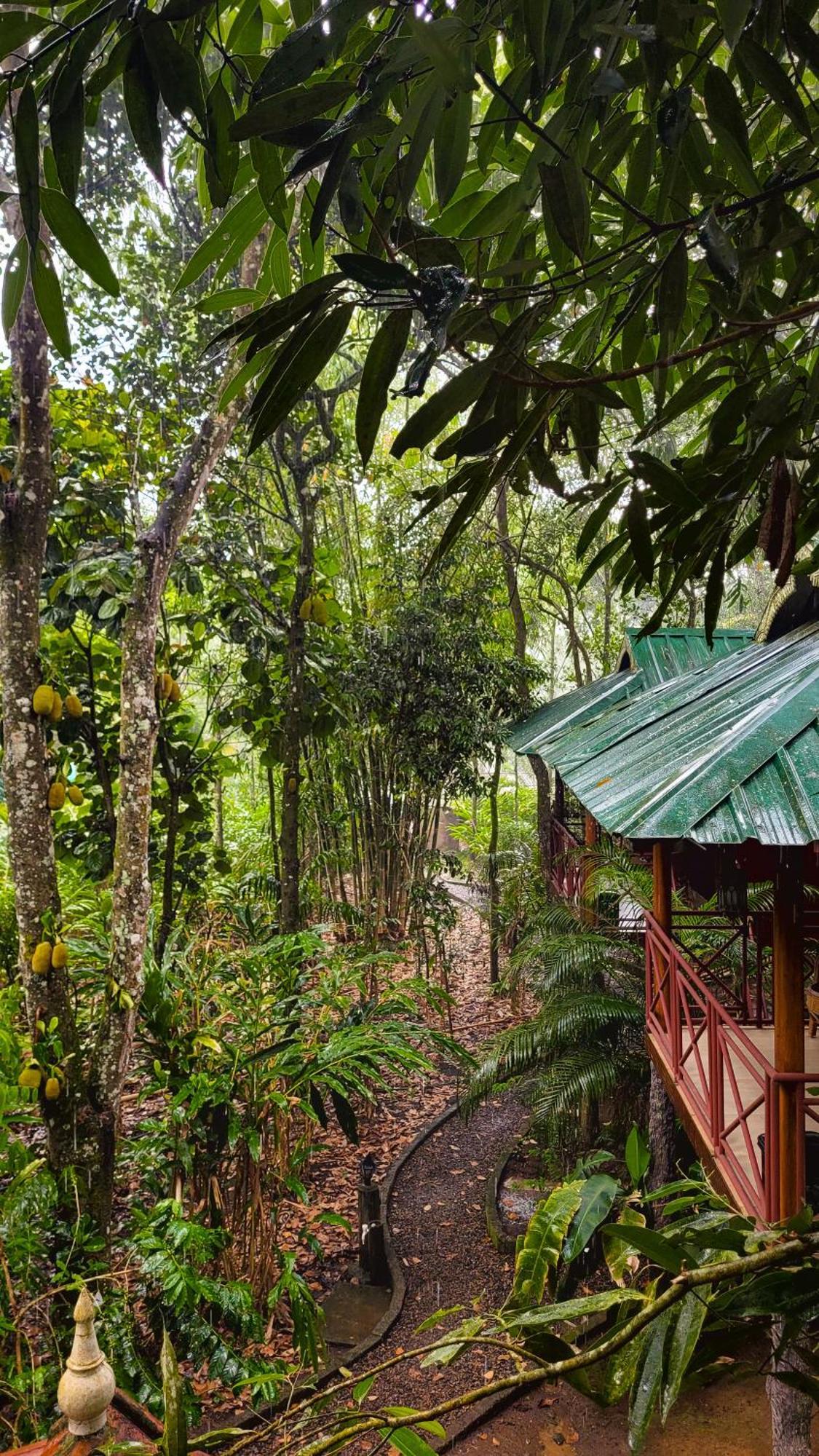 Monsoon Retreats Ecostay- Treehouse Thekkady Esterno foto