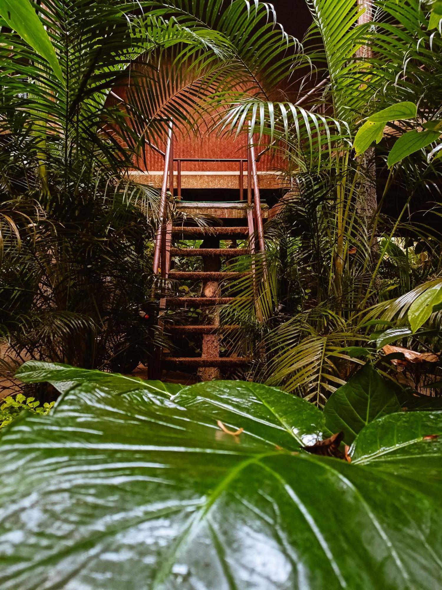 Monsoon Retreats Ecostay- Treehouse Thekkady Camera foto