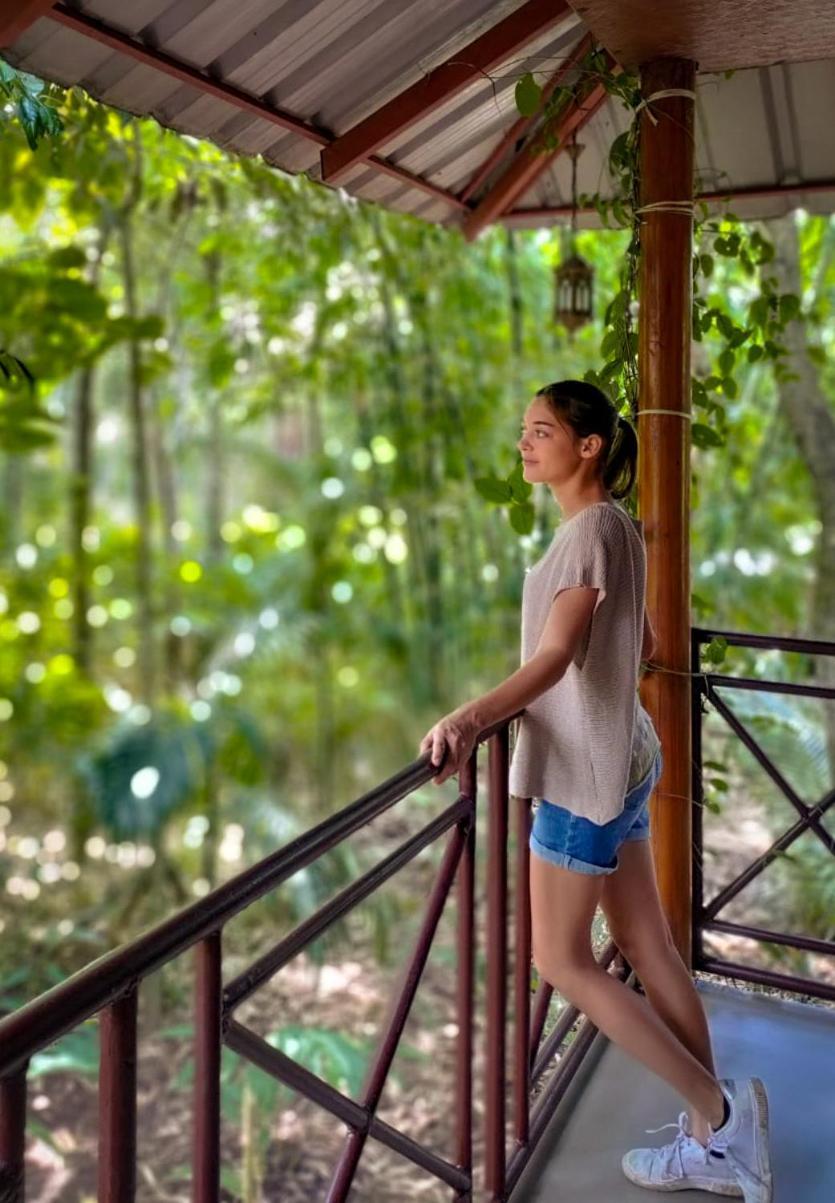 Monsoon Retreats Ecostay- Treehouse Thekkady Esterno foto