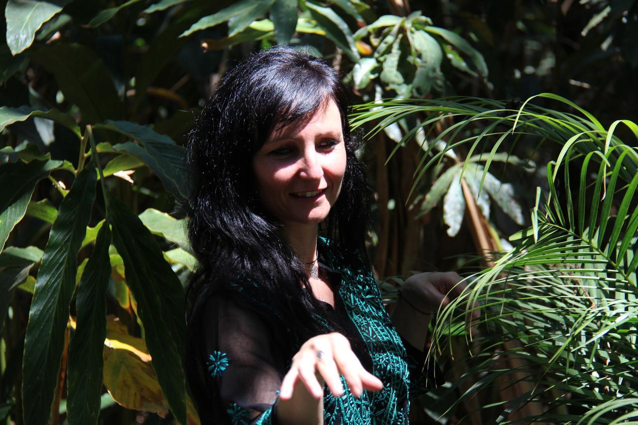 Monsoon Retreats Ecostay- Treehouse Thekkady Esterno foto