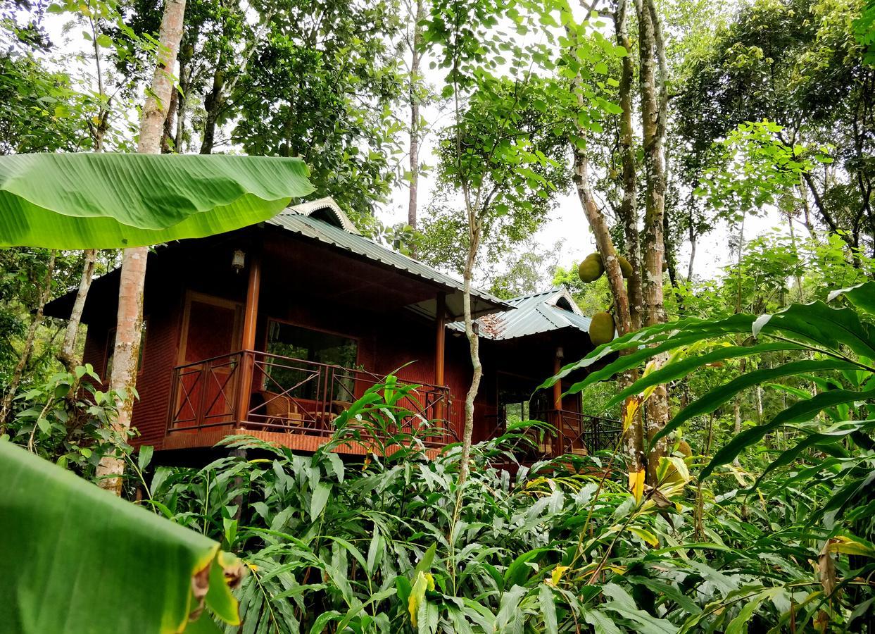 Monsoon Retreats Ecostay- Treehouse Thekkady Esterno foto