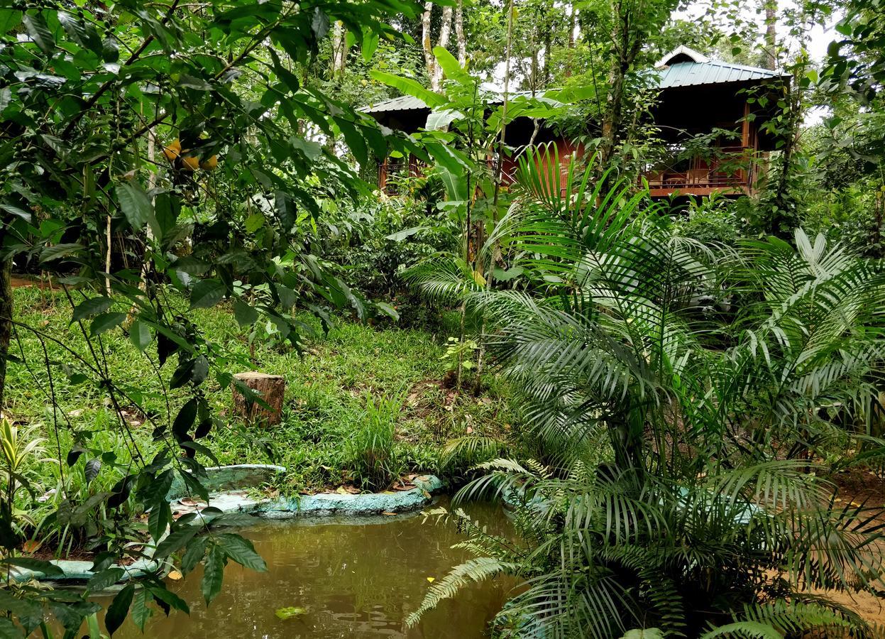 Monsoon Retreats Ecostay- Treehouse Thekkady Esterno foto