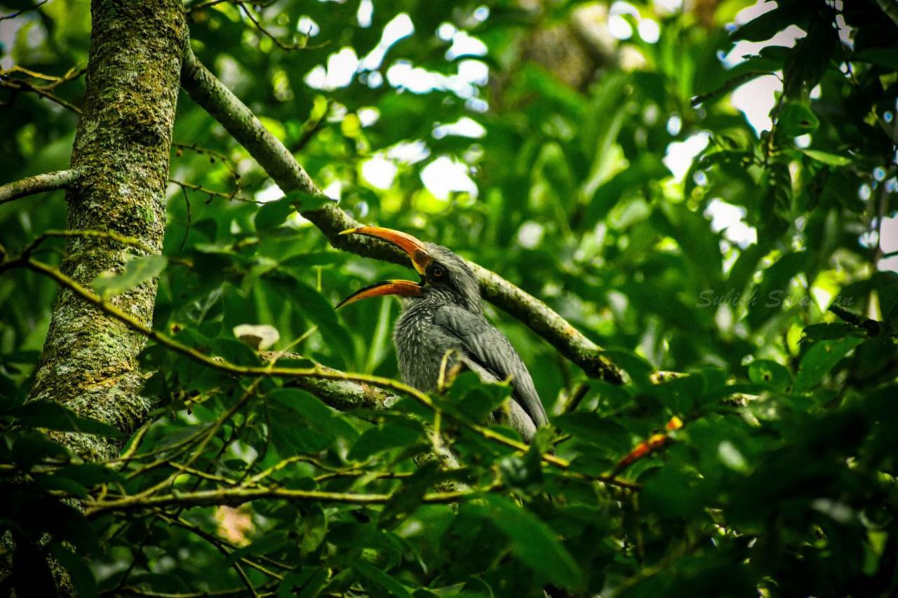 Monsoon Retreats Ecostay- Treehouse Thekkady Esterno foto