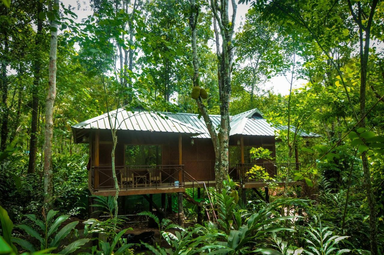 Monsoon Retreats Ecostay- Treehouse Thekkady Esterno foto