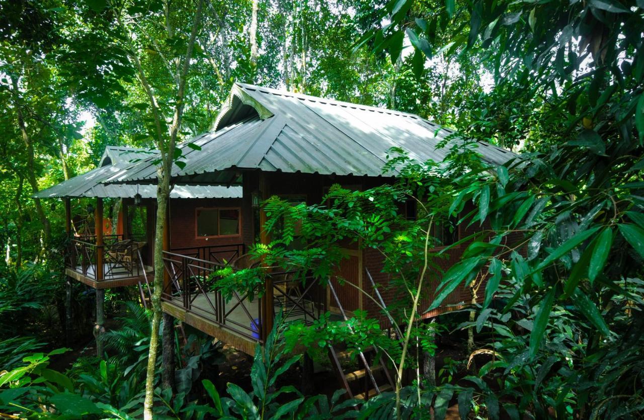 Monsoon Retreats Ecostay- Treehouse Thekkady Esterno foto